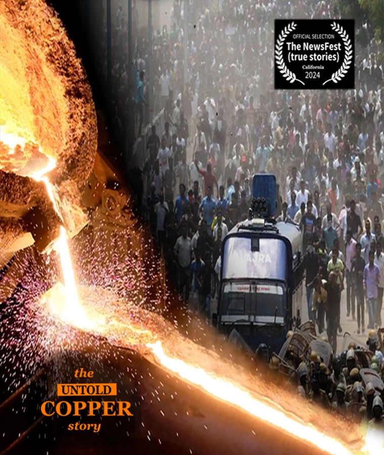 sociopolitical-banner-2-mob